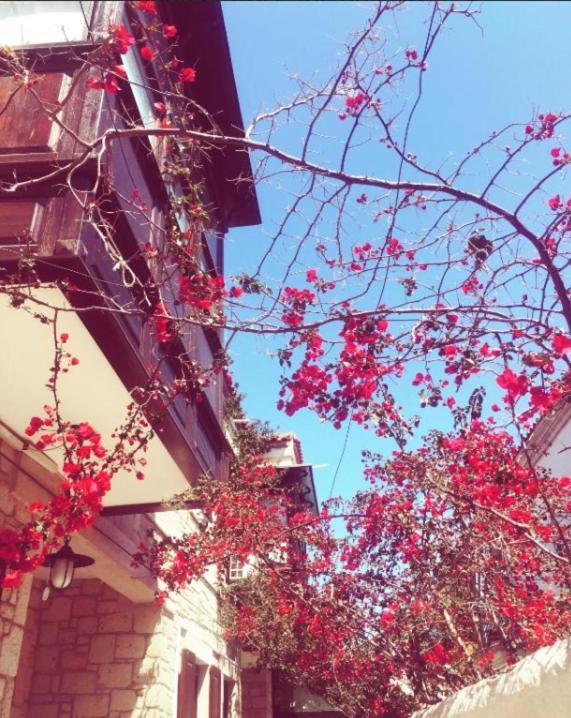 Alayaz Hotel Alaçatı Zewnętrze zdjęcie