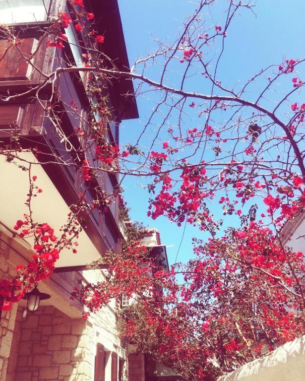 Alayaz Hotel Alaçatı Zewnętrze zdjęcie