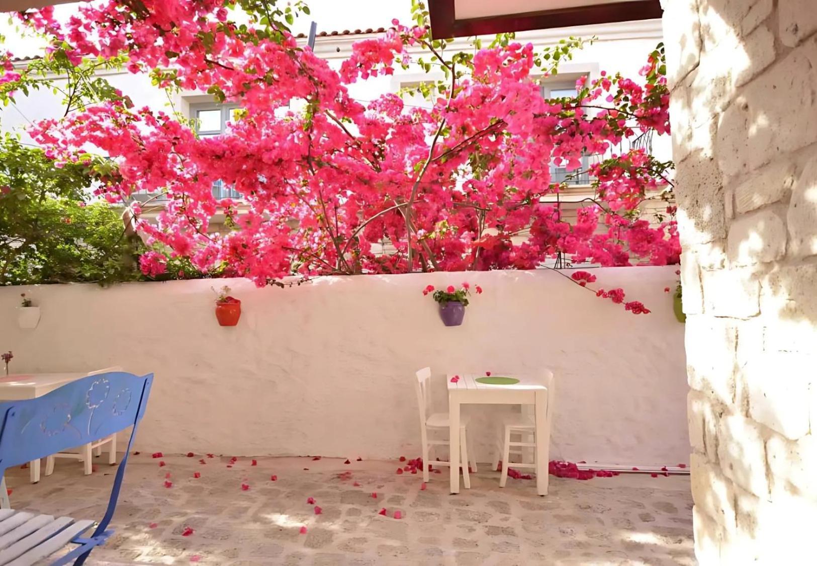 Alayaz Hotel Alaçatı Zewnętrze zdjęcie