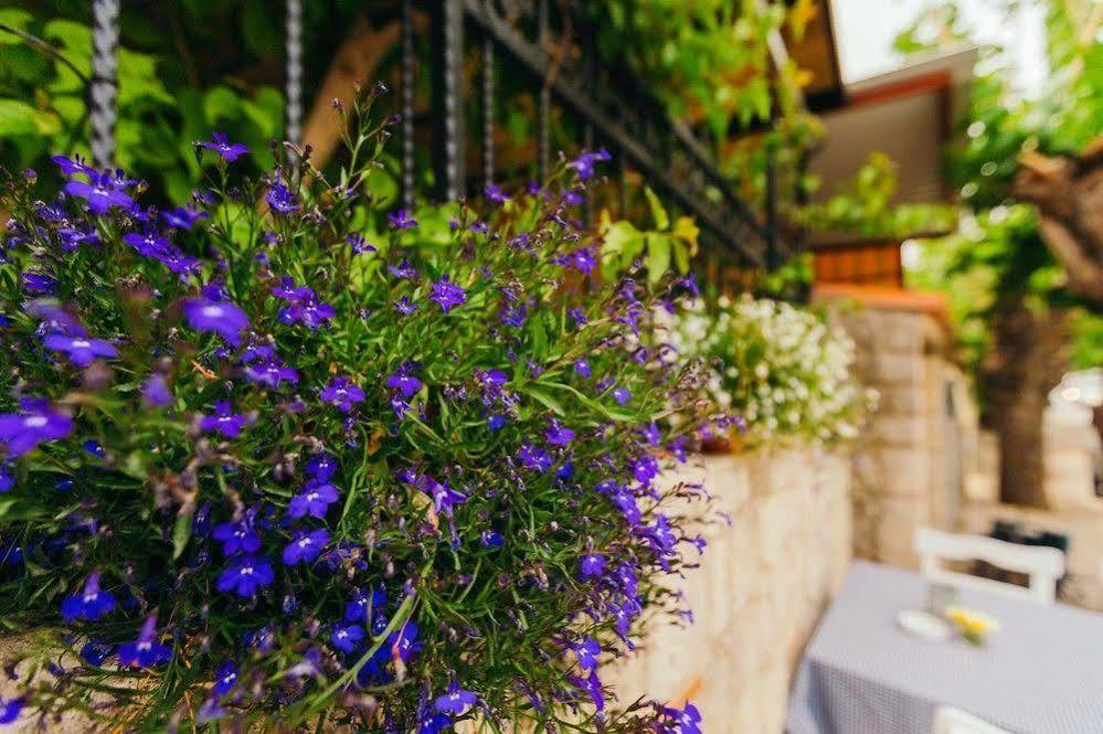 Alayaz Hotel Alaçatı Zewnętrze zdjęcie
